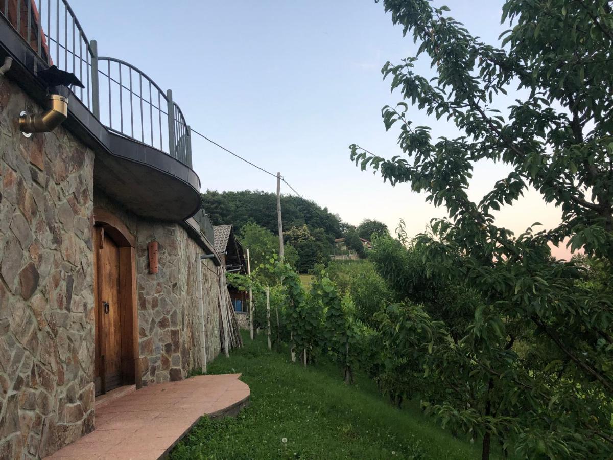 Vineyard Cottage Janko & Metka Otočec Exterior foto